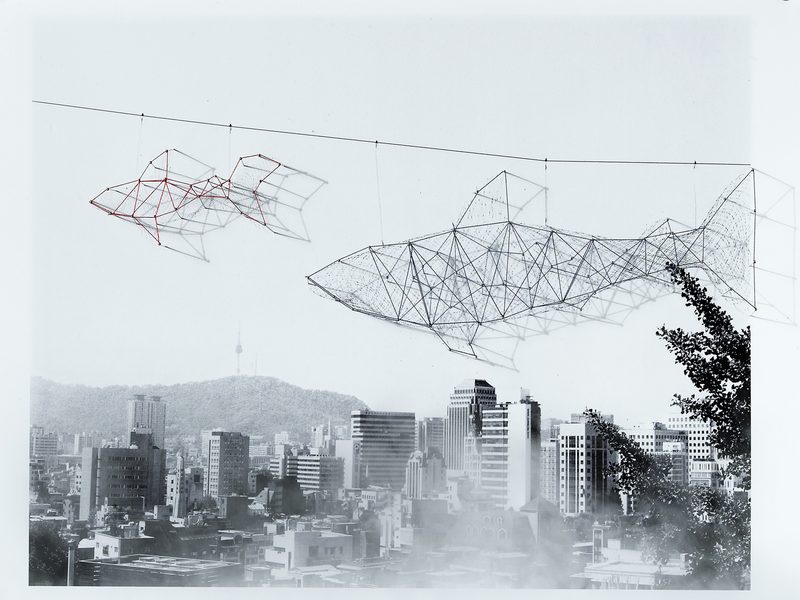 Cornell 합격생 · SIS — Portfolio Work