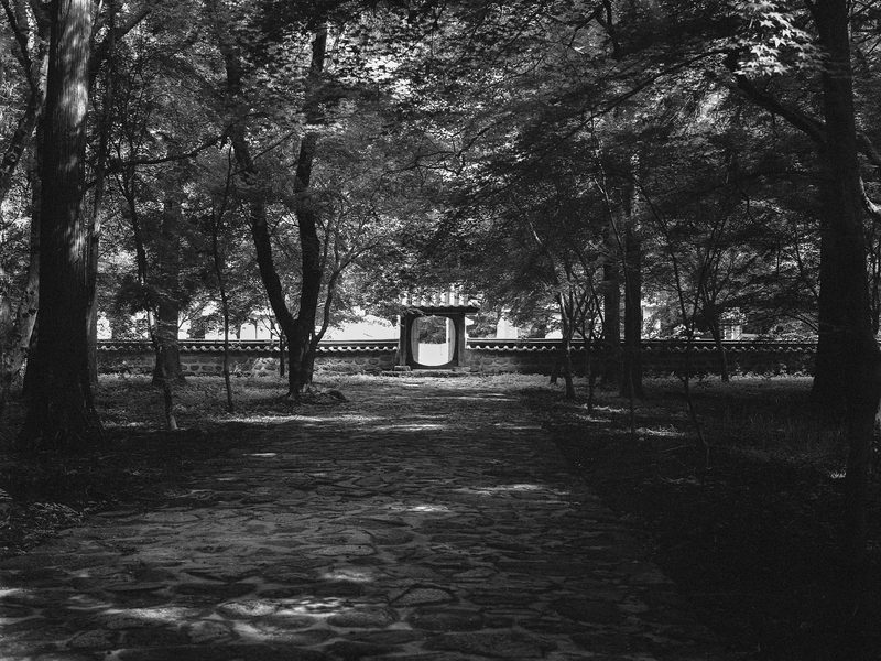 Vanderbilt 합격생 · SPPS — Portfolio Work