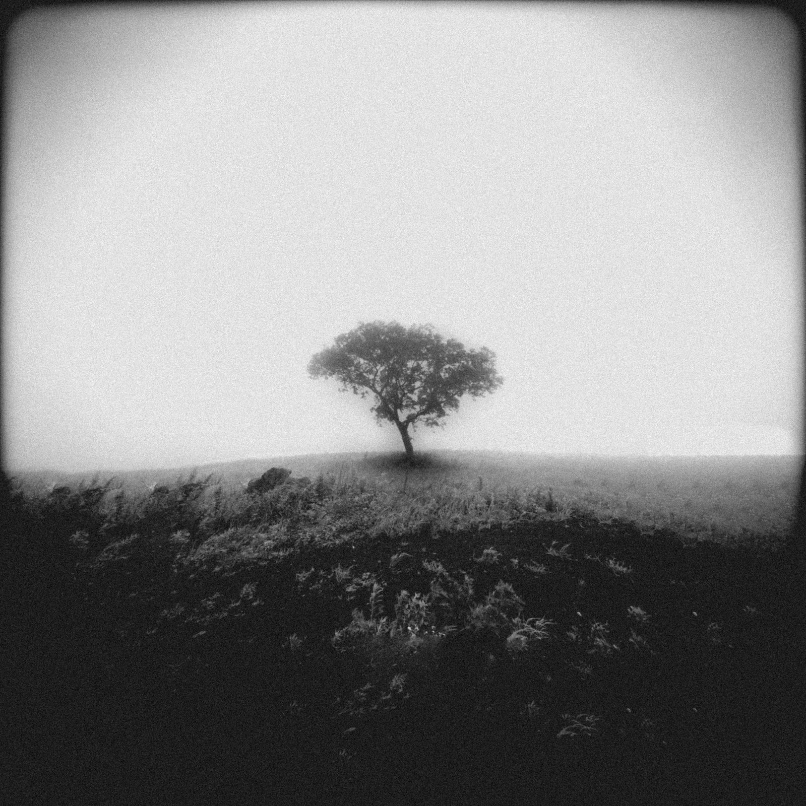 Cornell 합격생 · Walnut Hill의 B&W Portfolio 작품