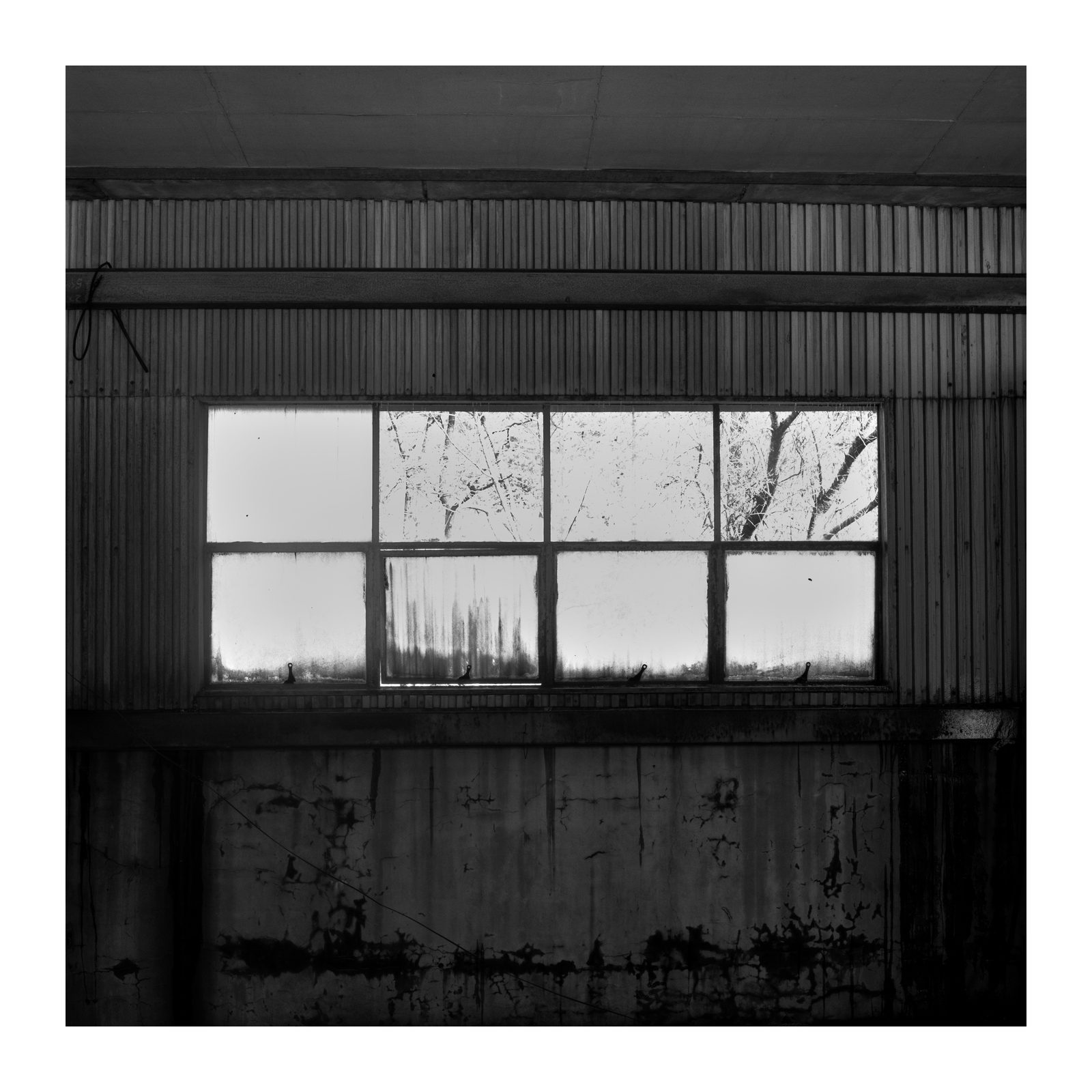 WashU 합격생 · Dexter Southfield의 B&W Portfolio 작품