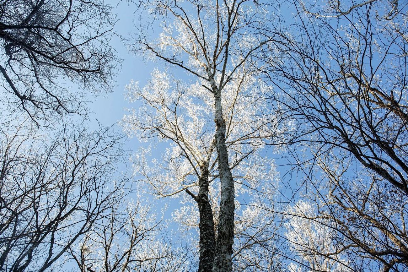 Frozen Veins of the Earth — 검정고시 합격생 작품