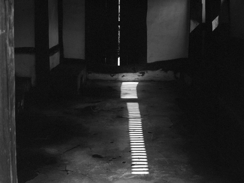 Life Coexisting with Nature — Gelatin Silver Print