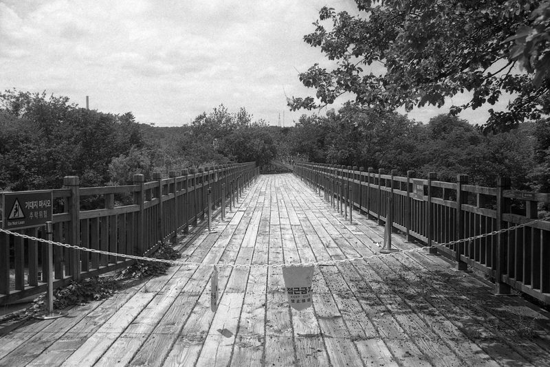 The Bridge of Freedom — Gelatin Silver Print