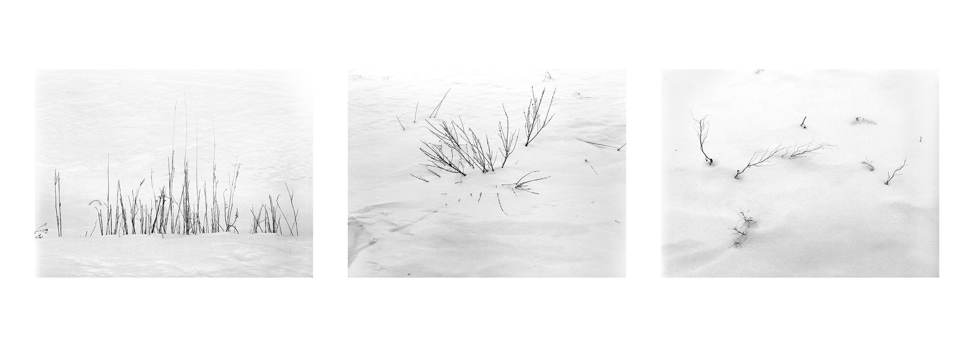NYU Tisch 합격생 연작 3/3 · gds-pf-nyu-10-03
