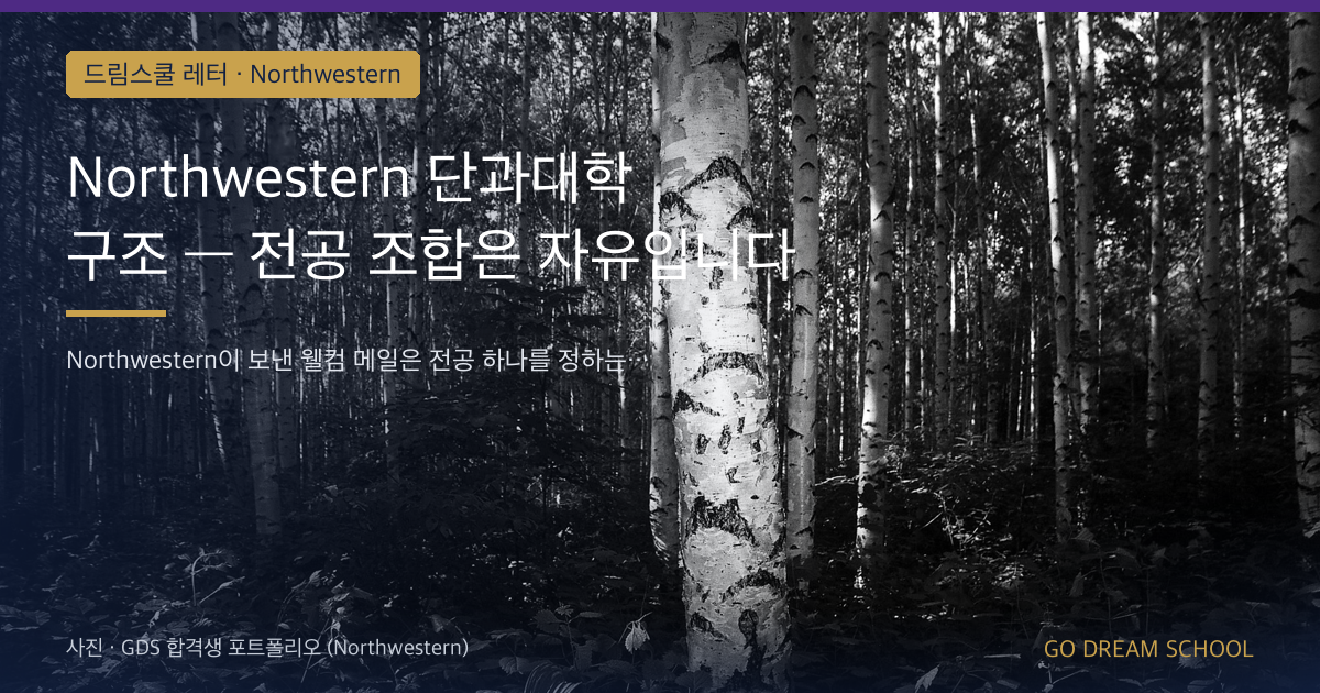 Northwestern 단과대학 구조 — 전공 조합은 자유입니다